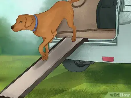 Image titled Take Pets on Beach Vacations Step 8