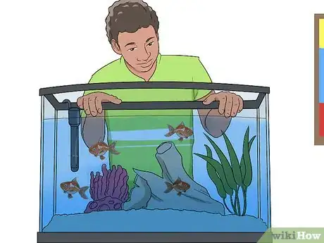 Image titled Ensure Your Pet Fish Are Healthy Step 10