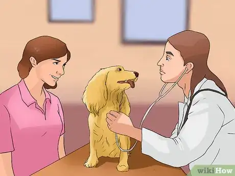 Image titled Diagnose Canine Cancer Step 7