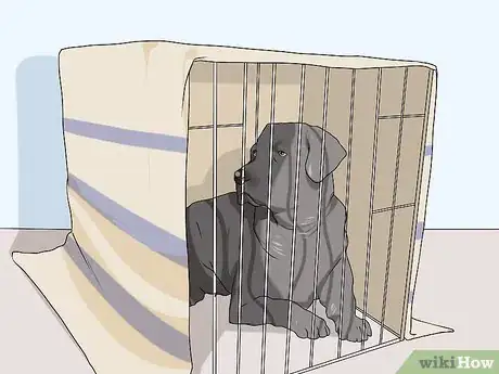 Image titled Handle New Noise Phobias in Older Dogs Step 4