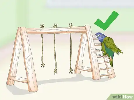 Image titled Keep a Pionus Parrot Entertained Step 6