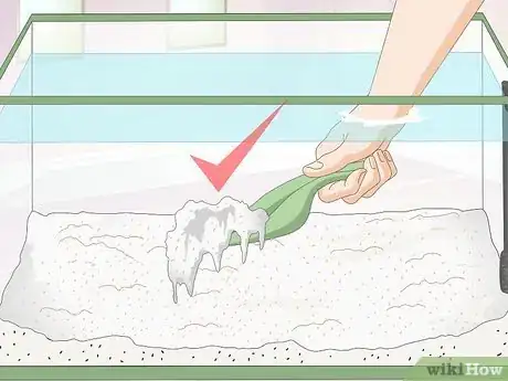 Image titled Creatively Decorate a Freshwater Fish Tank Step 9