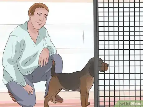 Image titled Stop Your Dog from Chewing Things it Shouldn't Step 11