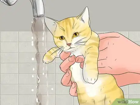 Image titled Help Your Cat Enjoy Having a Bath Step 5