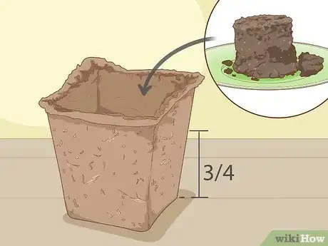 Image titled Plant a Woolworths Discovery Garden Step 5