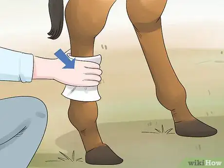 Image titled Handle Hind Leg Problems in Horses Step 10