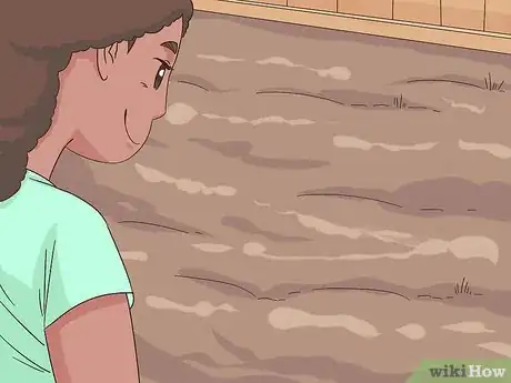 Image titled Grow Dichondra Step 13