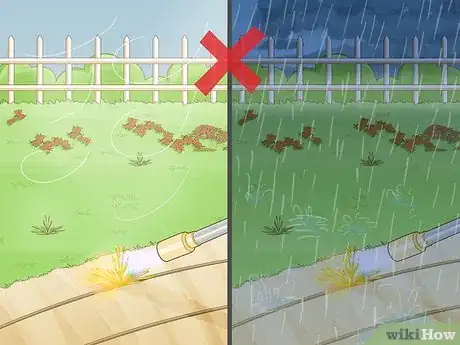 Image titled Burn Weeds in Rocks Step 2