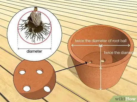 Image titled Plant an Areca Palm Step 9