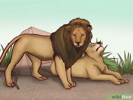 Image titled Identify Feline Species by Fur Step 2