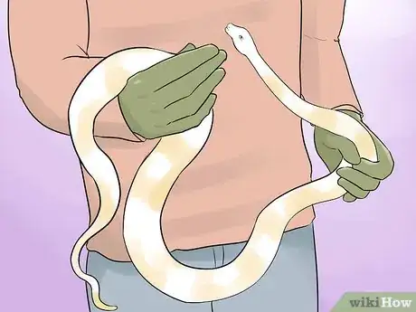 Image titled Hold a Snake Step 9