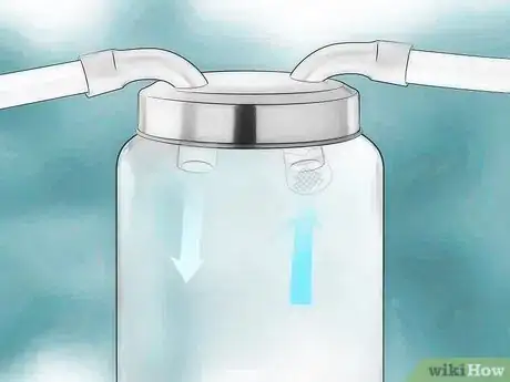 Image titled Make an Insect Catching Kit Step 11