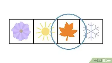 Image titled Plant Daffodils Step 3