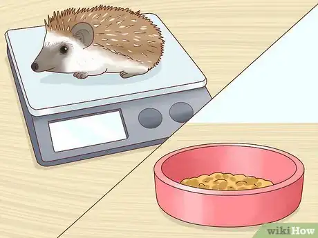 Image titled Take Care of a Hedgehog Step 15