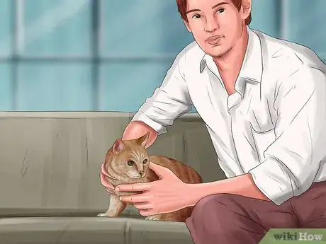 Image titled Train Your Cat with Positive Reinforcement Step 6