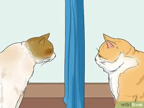 Image titled Prevent Fights Between Cats Step 8