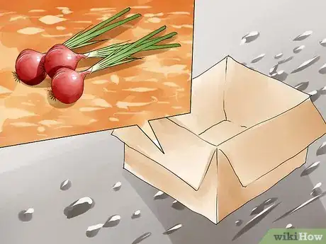 Image titled Grow Onions from Seed Step 16