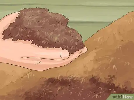 Image titled Plant Under a Tree Step 5