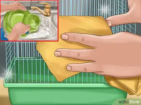 Image titled Prevent Skin Problems in Guinea Pigs Step 3