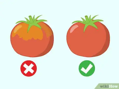 Image titled Buy Tomatoes Step 3