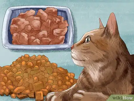 Image titled Feed a Fussy Cat Step 6