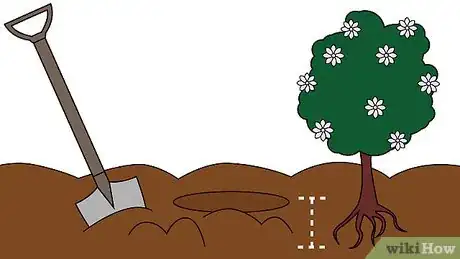 Image titled Care for a Gardenia Step 4