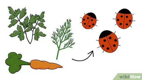Image titled Companion Plant Step 5