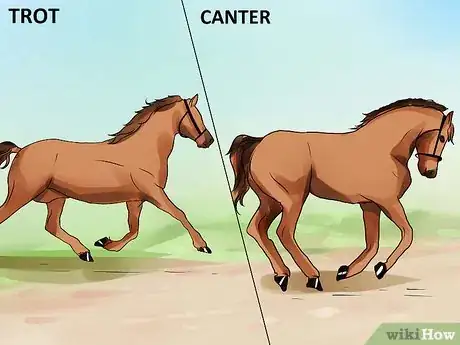 Image titled Be Comfortable Around a Bad‐Tempered Horse Step 16