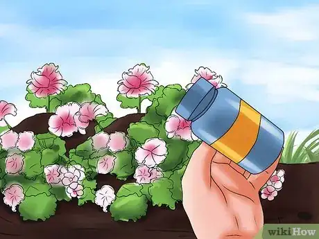Image titled Grow Geraniums Step 12