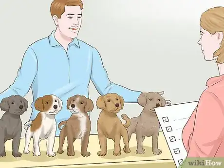 Image titled Become a Dog Show Judge Step 12