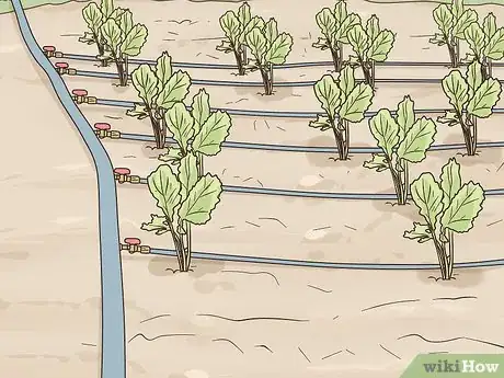 Image titled Grow a Sustainable Garden Step 20