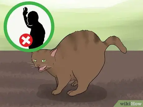 Image titled Calm an Aggressive Cat Step 5
