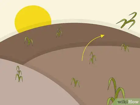 Image titled Plant Fescue Step 3