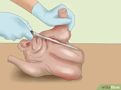 Image titled Cook a Five Bird Roast Step 2