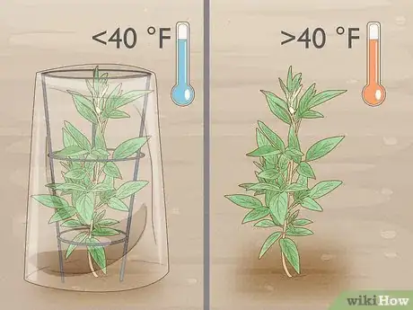 Image titled Grow Food in Winter Step 1