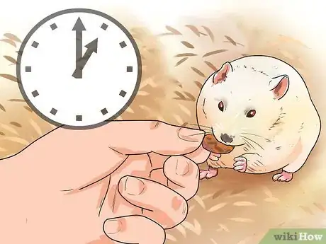 Image titled Travel With a Small Pet Step 10