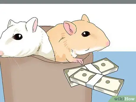 Image titled Buy a Gerbil Step 8