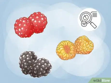 Image titled Prune Red Raspberries Step 6