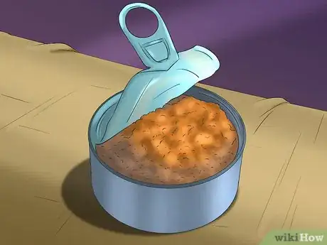 Image titled Feed Cats Step 3