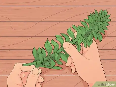 Image titled Show Oxygen Is a By Product of Photosynthesis Step 2