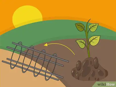 Image titled Grow Potatoes in a Wire Cage Step 14