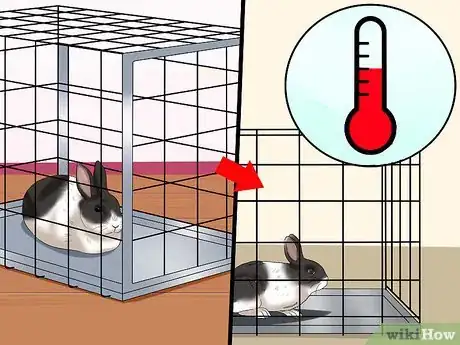 Image titled Keep Rabbits Warm in Sub Zero Weather Step 13