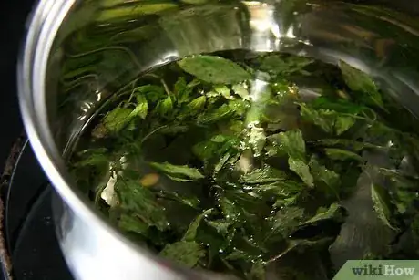 Image titled Make a Vodka Mojito Step 8