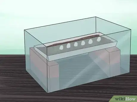Image titled Take Care of Lizard Eggs Step 11