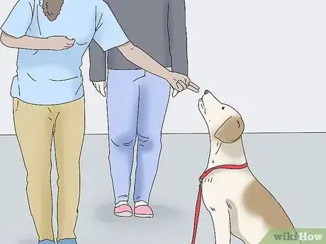 Image titled Get a PTSD Service Dog Step 14