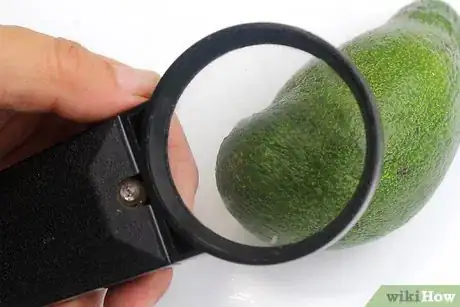 Image titled Buy a Good Avocado Step 3