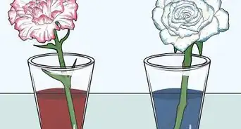 Change the Color of a Celery Stalk