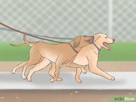 Image titled Acclimate Two Dogs Step 6