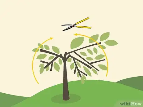 Image titled Prune an Avocado Tree Step 09