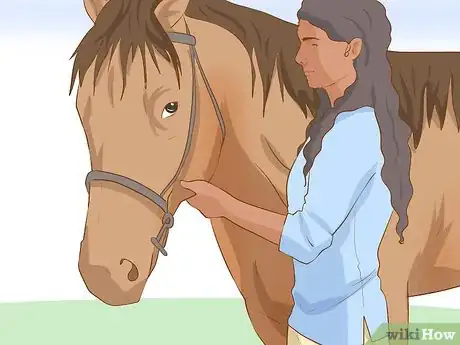 Image titled Do Basic Dressage Successfully Step 1